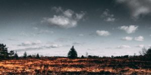Lucha Contra El Cambio Climatico