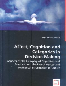 Affect, Cognition and Categories in Decision Making